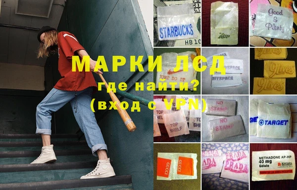 дурь Алзамай