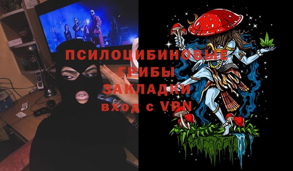 дурь Алзамай