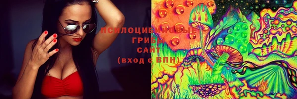 дурь Алзамай
