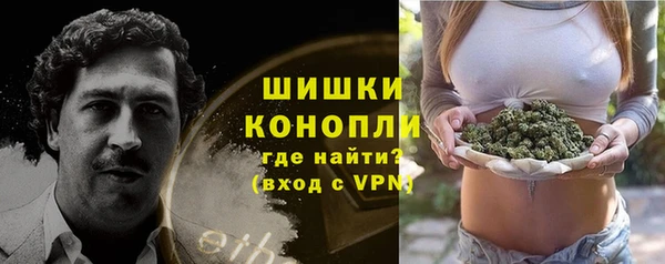 спайс Алексин