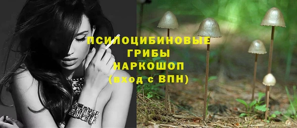 дурь Алзамай