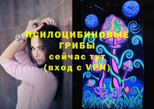 спайс Алексин