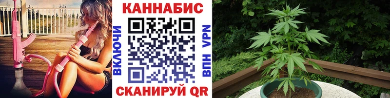 что такое наркотик  Юрьев-Польский  Марихуана Ganja 